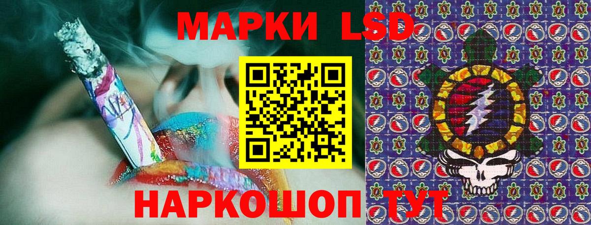 Курчалой  Марки 25I-NBOMe  Вход с VPN  Марки NBOMe 1,5мг 