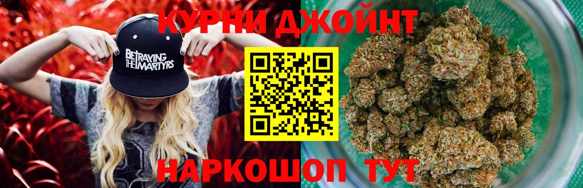 Марихуана Amnesia  Вход с VPN  Шишки марихуана гибрид  Курчалой  Канабис тримм 